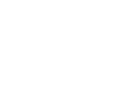 Ornament 69